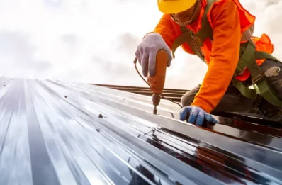Travaux de zinguerie à Vievy-le-Rayé